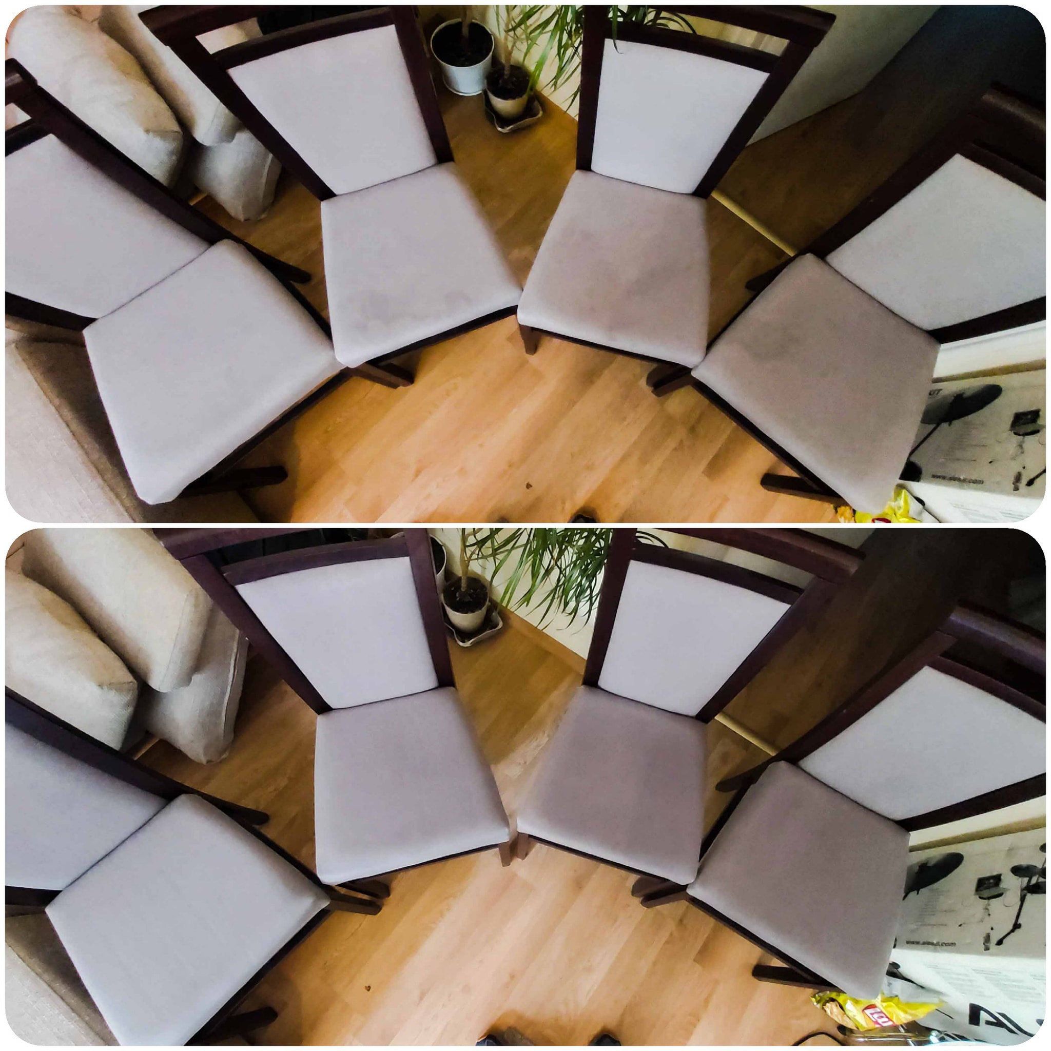 118071715_168689191524853_110068355618497962_n